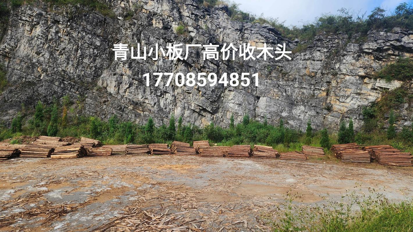 青山小板厂大量收购香杉柳杉原木——杉木板芯源头直采，共建绿色供应链