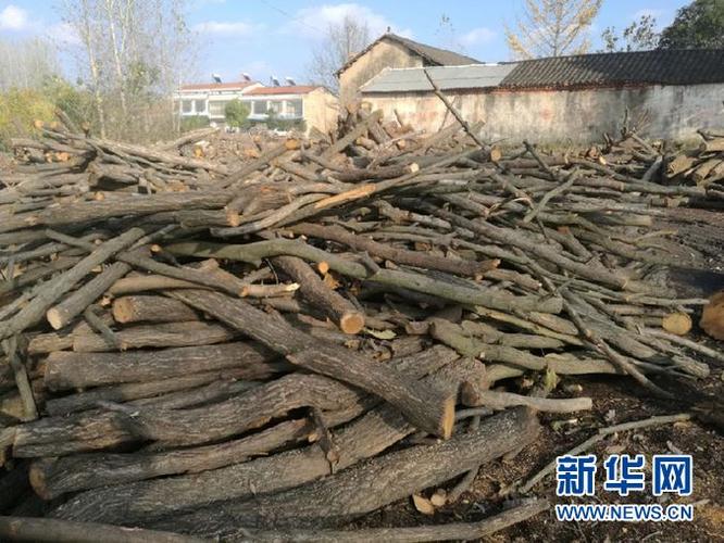 绿水青山间的“木材银行” 李咸汇的收购往事与绿色发展启示
