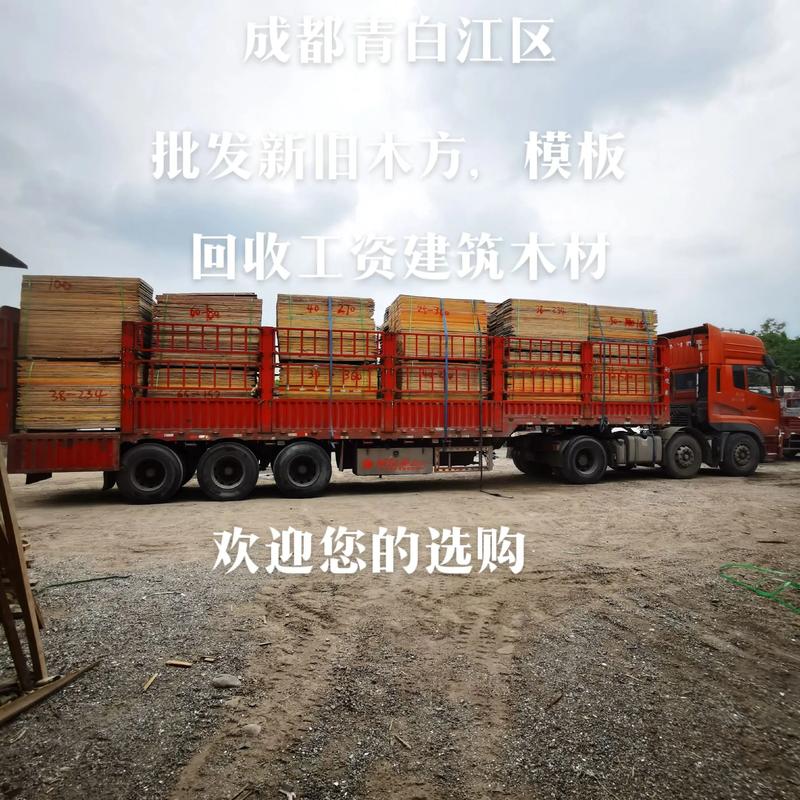 工地建筑木材批发与回收指南 优选采购与规范收购